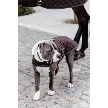 Hundemantel Original Kentucky Braun