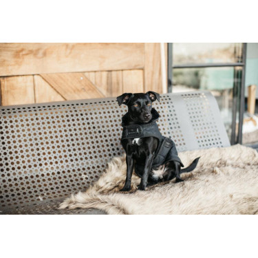 Hundemantel Original Kentucky Schwarz/schwarz