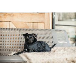 Hundemantel Original Kentucky Schwarz/schwarz