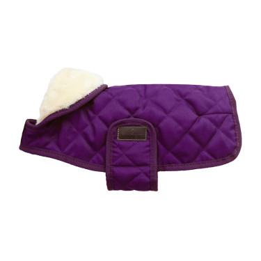 Hundemantel Original Kentucky Königliches Mauve Lila