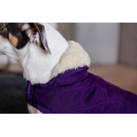 Manteau pour chien Original Kentucky Bordeaux