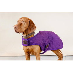 Hundemantel Original Kentucky Königliches Mauve Lila Hundemantel Original Kentucky Königliches Mauve Lila