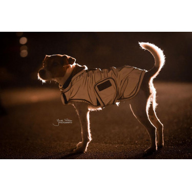 Hundemantel reflektierend & wasserabweisend Kentucky Hundemantel reflektierend & wasserabweisend Kentucky