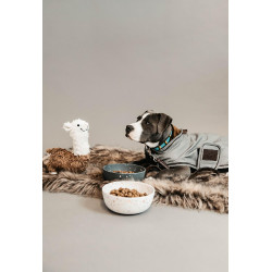 Hundemantel reflektierend & wasserabweisend Kentucky Silber Hundemantel reflektierend & wasserabweisend Kentucky Silber