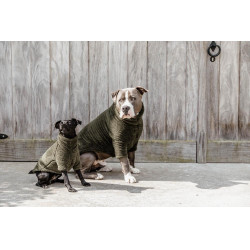 Hundepullover Teddy Fleece Kentucky Hundepullover Teddy Fleece Kentucky