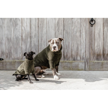 Hundepullover Teddy Fleece Kentucky Hundepullover Teddy Fleece Kentucky