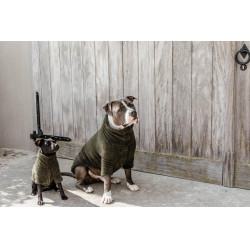 Hundepullover Teddy Fleece Kentucky Hundepullover Teddy Fleece Kentucky