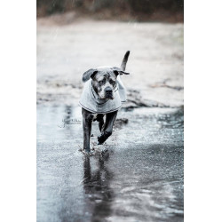 Wasserdichte Hundejacke Kentucky Puderblau Wasserdichte Hundejacke Kentucky Puderblau