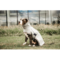Wasserdichte Hundejacke Kentucky Puderblau Wasserdichte Hundejacke Kentucky Puderblau