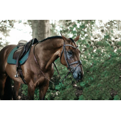 Kentucky Color Edition Leather Spring-Sattelpad Olivgrün Gr&amp;amp;amp;amp;amp;amp;amp;amp;uuml;n