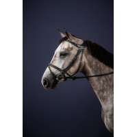 Trense Différence New English Collection by Dy'on Schwarz Trense Différence New English Collection by Dy'on Schwarz