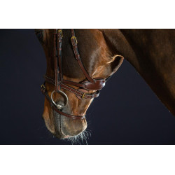 Trense Différence D Kollektion by Dy'on Braun