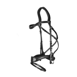 Trense D Motion New English Collection by Dy'on Schwarz Trense D Motion New English Collection by Dy'on Schwarz