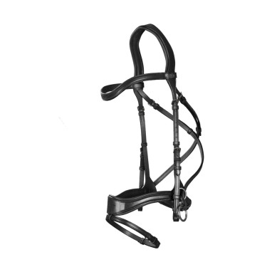 Trense D Motion New English Collection by Dy'on Schwarz Trense D Motion New English Collection by Dy'on Schwarz