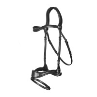 Trense D Motion New English Collection by Dy'on Schwarz Trense D Motion New English Collection by Dy'on Schwarz