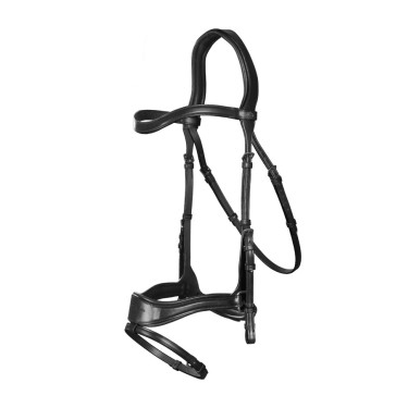 Trense D Motion New English Collection by Dy'on Schwarz Trense D Motion New English Collection by Dy'on Schwarz