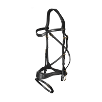 Trense D Motion D Collection by Dy'on Schwarz