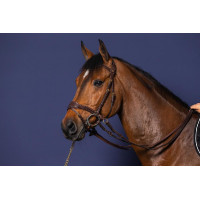 Trense D Motion D Collection by Dy'on Schwarz Trense D Motion D Collection by Dy'on Schwarz