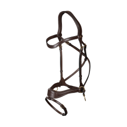 Trense D Motion D Collection by Dy'on Braun