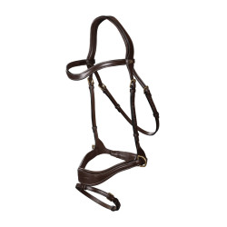 Trense D Motion D Collection by Dy'on Braun