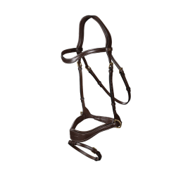 Trense D Motion D Collection by Dy'on Braun