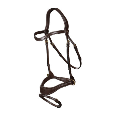 Trense D Motion D Collection by Dy'on Braun
