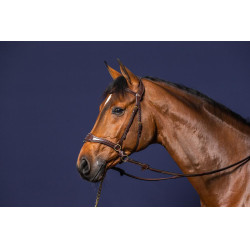 Trense D Motion D Collection by Dy'on Braun