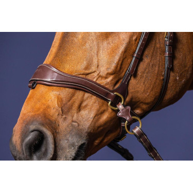 Trense D Motion D Collection by Dy'on Trense D Motion D Collection by Dy'on