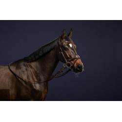 Trense D Motion D Collection by Dy'on Braun