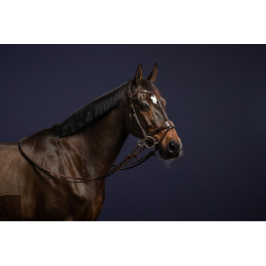 Trense D Motion D Collection by Dy'on Trense D Motion D Collection by Dy'on