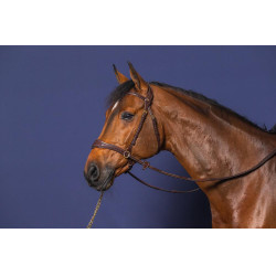 Trense D Motion D Collection by Dy'on Braun