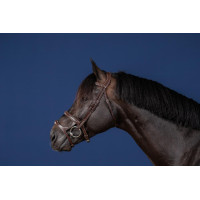 Trense Doppelnasenriemen US Collection by Dy'on Schwarz