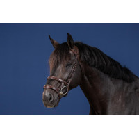 Trense Doppelnasenriemen US Collection by Dy'on Schwarz