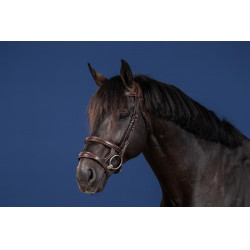 Trense Doppelnasenriemen US Collection by Dy'on Braun Trense Doppelnasenriemen US Collection by Dy'on Braun