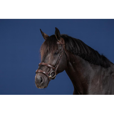 Trense Doppelnasenriemen US Collection by Dy'on Braun Trense Doppelnasenriemen US Collection by Dy'on Braun