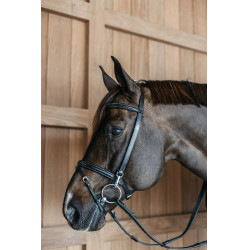 Trainingszaum Working By Dy'on