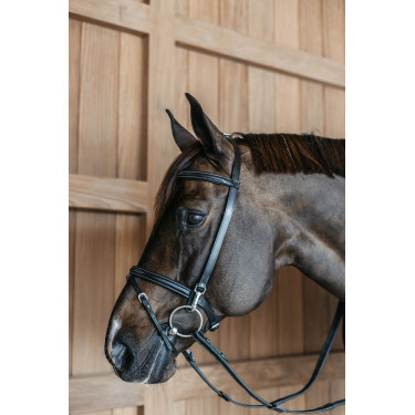 Trainingszaum Working By Dy'on