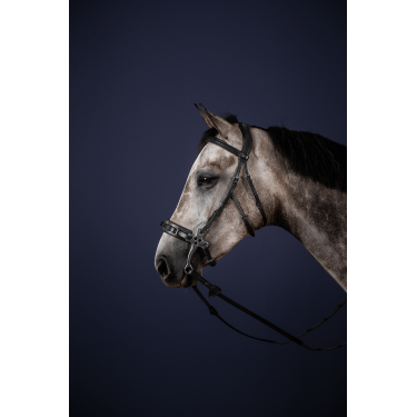 Hackamore-Zaum New English Collection by Dy'on Schwarz