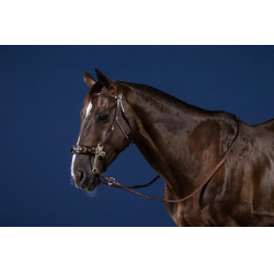 Bridon Hackamore US Collection by Dy'on Bridon Hackamore US Collection by Dy'on