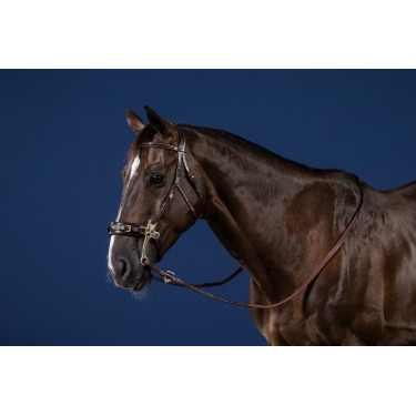 Bridon Hackamore US Collection by Dy'on Bridon Hackamore US Collection by Dy'on