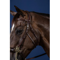 Bridon Hackamore US Collection by Dy'on Braun Bridon Hackamore US Collection by Dy'on Braun