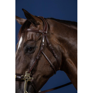 Bridon Hackamore US Collection by Dy'on Bridon Hackamore US Collection by Dy'on