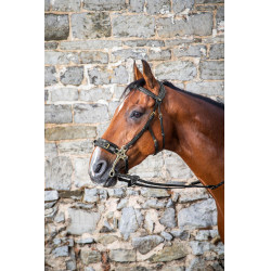 Bridon Hackamore D Collection by Dy'on Schwarz Bridon Hackamore D Collection by Dy'on Schwarz