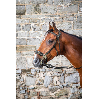 Bridon Hackamore D Collection by Dy'on Schwarz