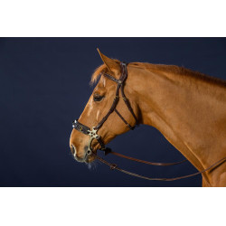 Bridon Hackamore D Collection by Dy'on Bridon Hackamore D Collection by Dy'on