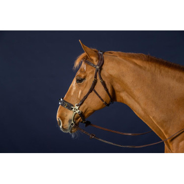 Bridon Hackamore D Collection by Dy'on Bridon Hackamore D Collection by Dy'on
