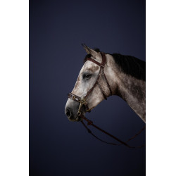 Hackamore-Zaum New English Collection by Dy'on Hackamore-Zaum New English Collection by Dy'on