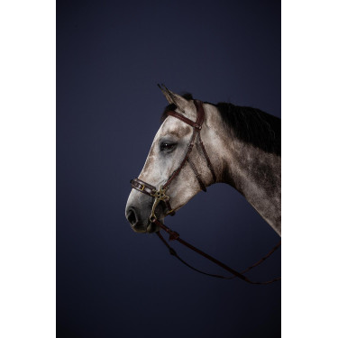 Hackamore-Zaum New English Collection by Dy'on Hackamore-Zaum New English Collection by Dy'on