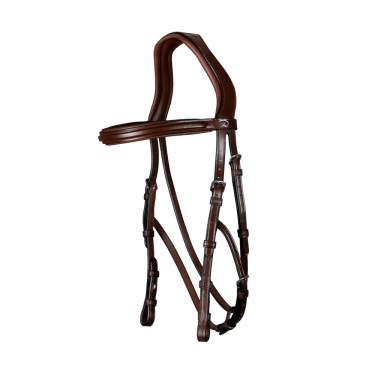 Hackamore-Zaum New English Collection by Dy'on Hackamore-Zaum New English Collection by Dy'on