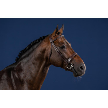 Trense Hunter US Collection by Dy'on Trense Hunter US Collection by Dy'on